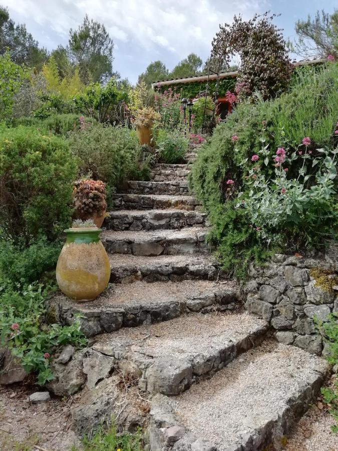 Chambre D'Hote Le Mas Des Romarins Les Arcs-sur-Argens Buitenkant foto