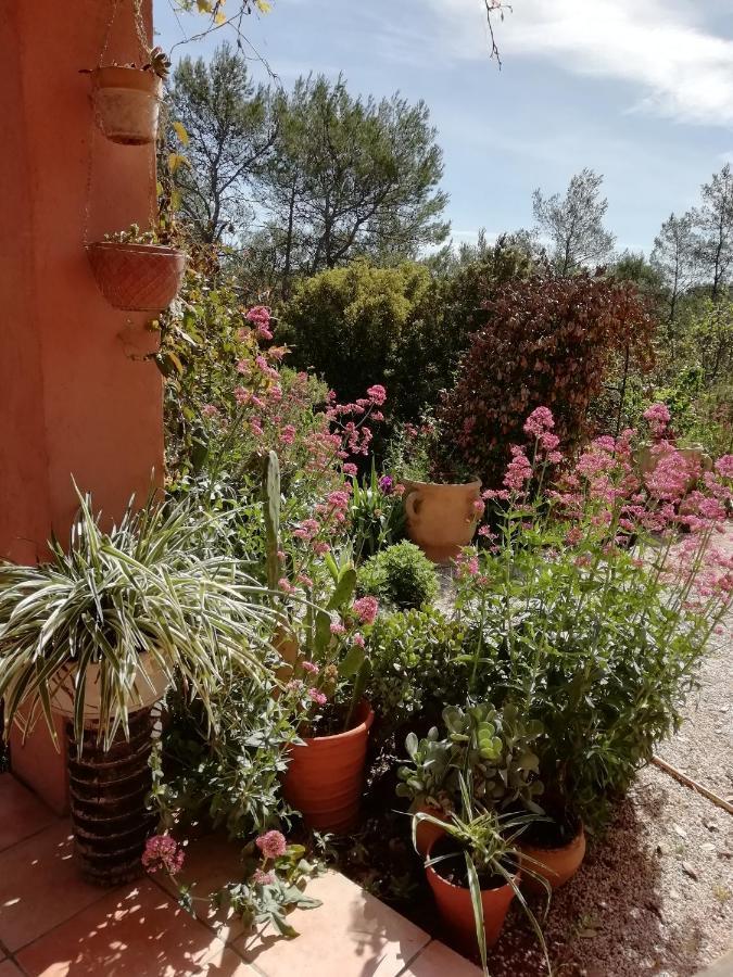 Chambre D'Hote Le Mas Des Romarins Les Arcs-sur-Argens Buitenkant foto