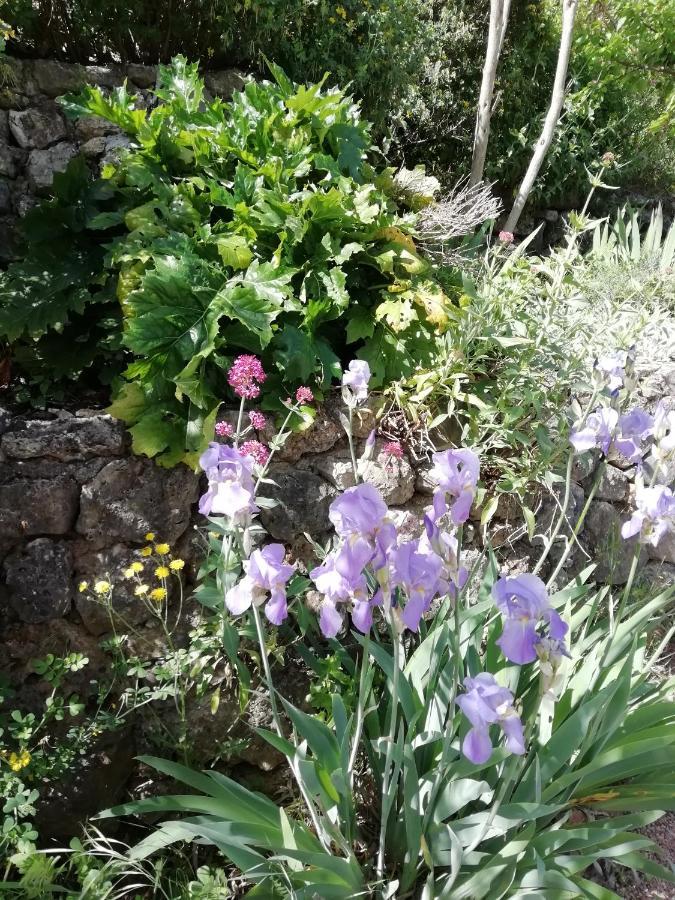 Chambre D'Hote Le Mas Des Romarins Les Arcs-sur-Argens Buitenkant foto