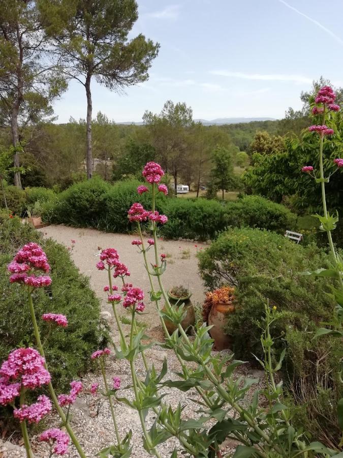 Chambre D'Hote Le Mas Des Romarins Les Arcs-sur-Argens Buitenkant foto